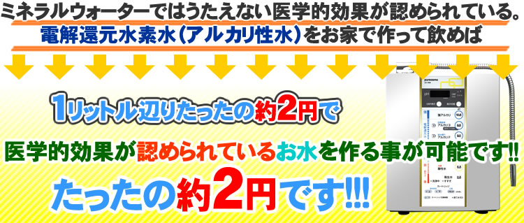 たったの2～3円です！