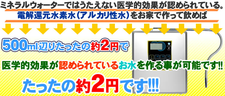 たったの2～3円です！