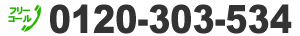 0120-303-534