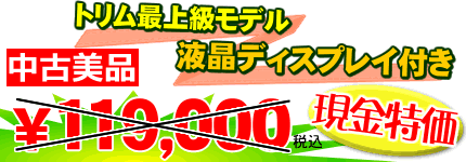 日本トリムイオンTI-5HX中古品1台限り