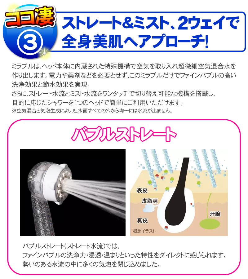 ストレート＆ミスト、2ウェイで全身美肌へアプローチ