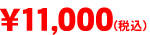 日本インテック浄水カートリッジ純正品※4000S 2本価格
