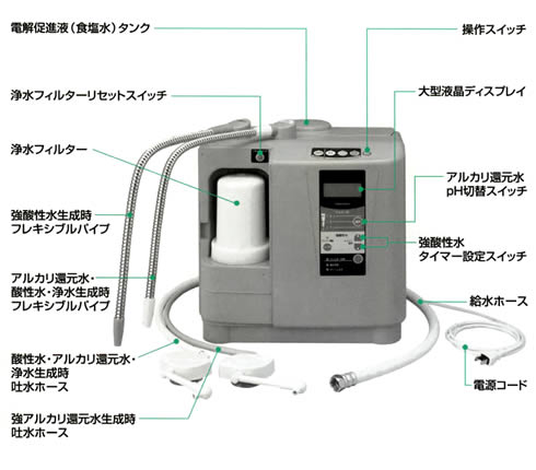 本体名称