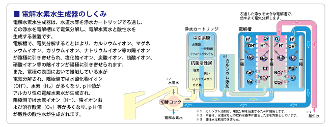 電解水素水生成の仕組み