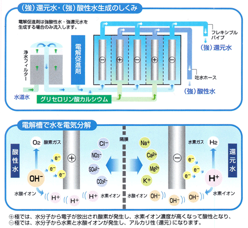 サナスKS-50EXの強電解水・強酸性水生成のしくみ、電解槽で水を電気分解