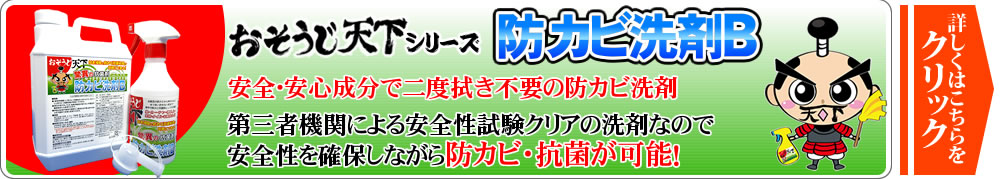 防カビ洗剤B