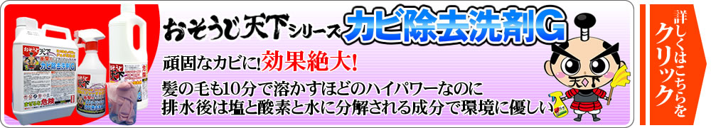 カビ除去洗剤G