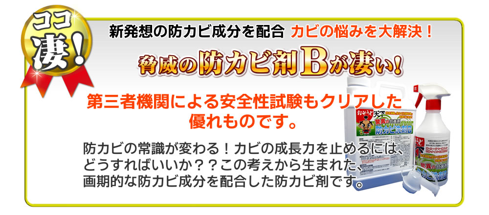 おそうじ天下防カビ洗剤B(2L)説明01